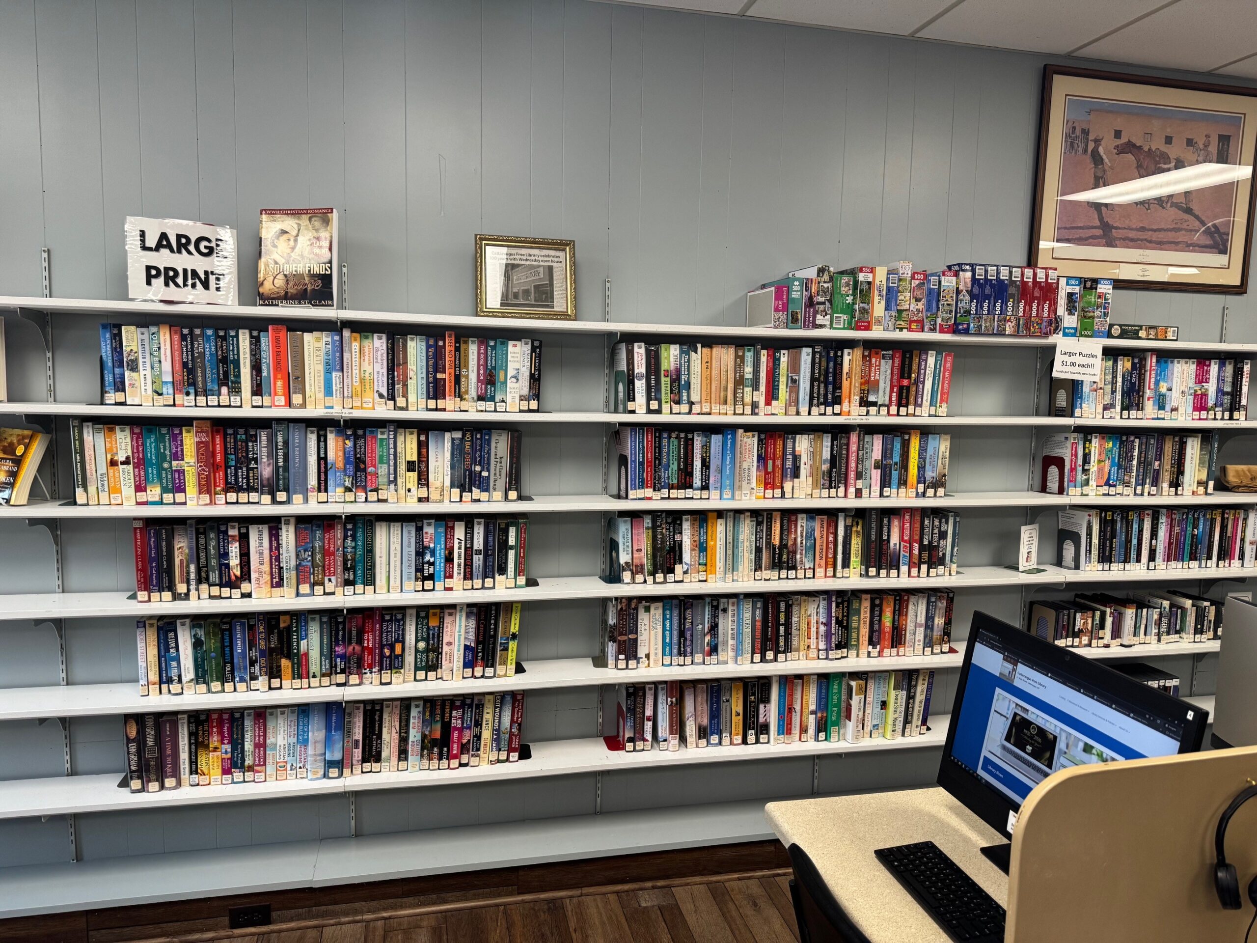 Library photo of the adult large print section.